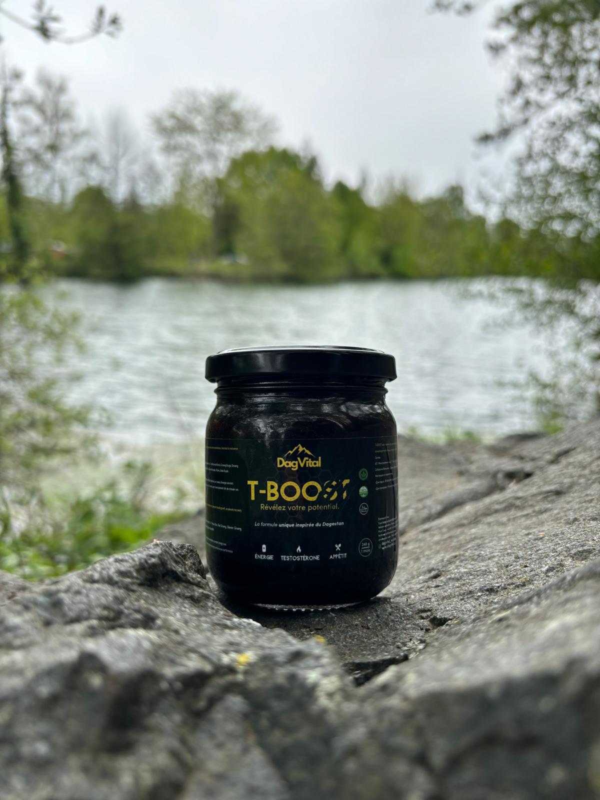 T-BOOST DAGVITAL nature